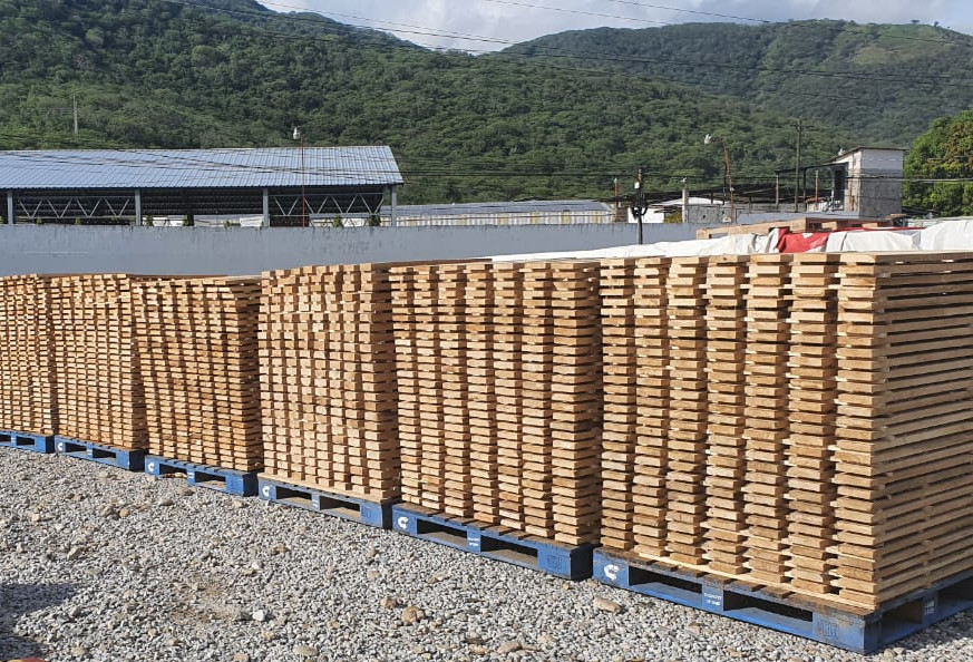 lumber stacked in a sawmill's yard