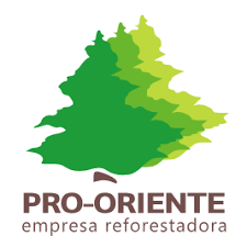 pro oriente