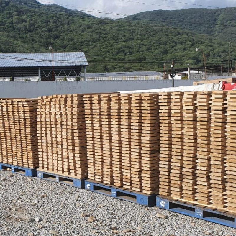 lumber stacked in a sawmill's yard